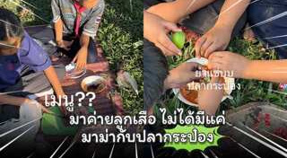 ลูกเสือ เนตรนารี