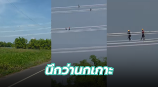 ไฟฟ้าแรงสูง