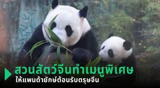 หมีแพนด้า