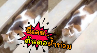 น้ำท่วมปราจีนบุรี