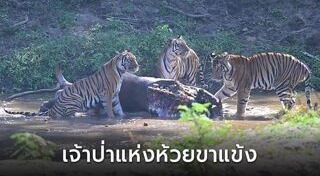 คลิปหายาก