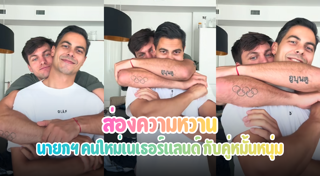 เนเธอร์แลนด์