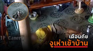 งูเข้าบ้าน
