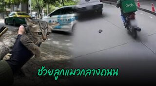 เรื่องราวดี ๆ