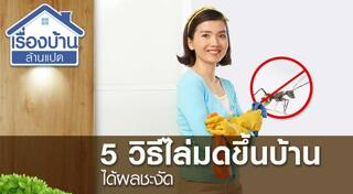 วิธีกำจัดมด