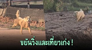 บางแก้ว