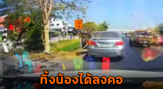 แมวถูกทิ้ง