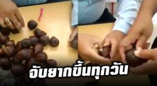 ลักลอบนำเข้ายาเสพติด