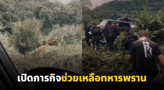 ทหารพราน