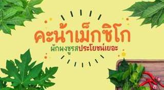 ผักคะน้า