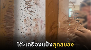 ตาสองชั้น