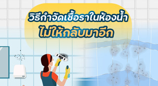 เชื้อราในบ้าน
