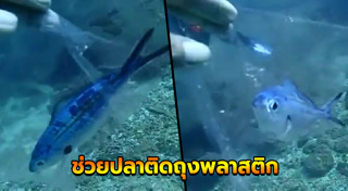 ทิ้งขยะลงทะเล