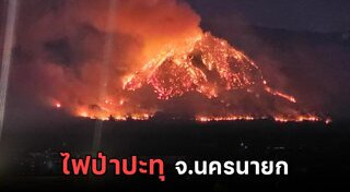 ไฟไหม้ป่า