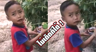 มะม่วงน้ำปลาหวาน