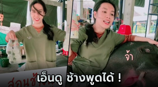 สัตว์แสนรู้