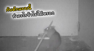 กับดักหนู