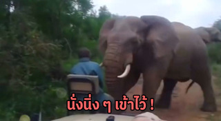 ซาฟารีเวิลด์