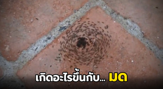 ธรรมชาติ