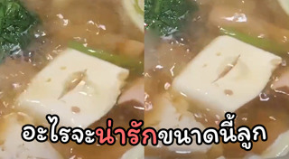 เต้าหู้