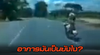 โชว์ผาดโผน