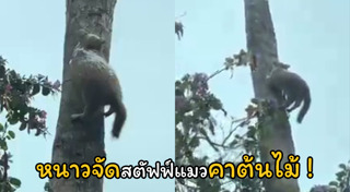 เม็กซิโก