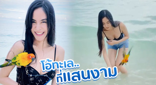 พีค ต๊อด