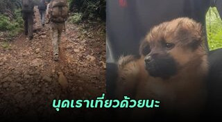 เดินป่าหน้าฝน