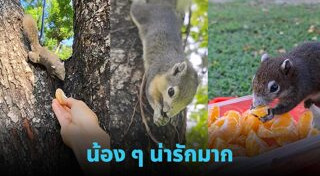 สัตว์น่ารักๆ