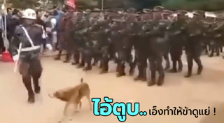 สวนสนาม