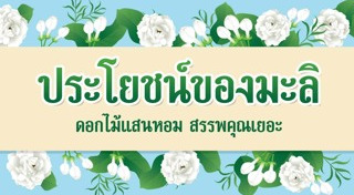ดอกมะลิ