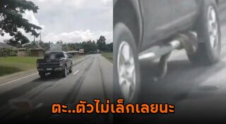 งูเข้ารถ