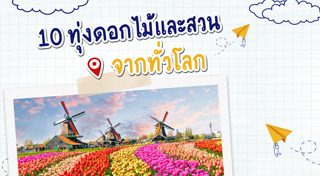 ทุ่งดอกไม้