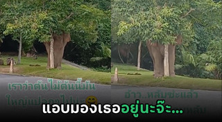 อุทยานแห่งชาติเขาใหญ่