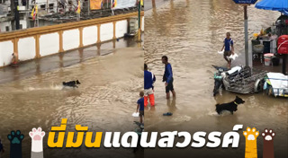 น้ำท่วมปราจีนบุรี