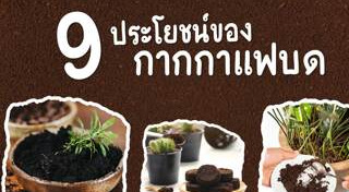 กากกาแฟ