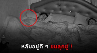 ตะขาบยักษ์