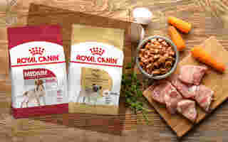 อาหารหมา Royal Canin