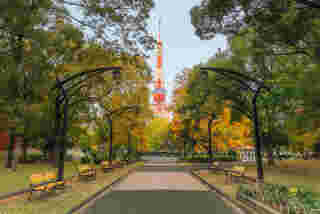 Tokyo Christmas Market Shiba Park