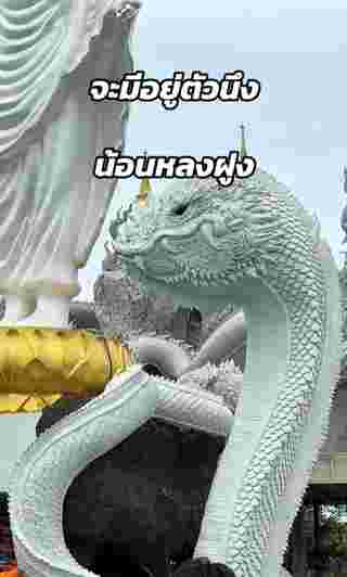 พญานาค
