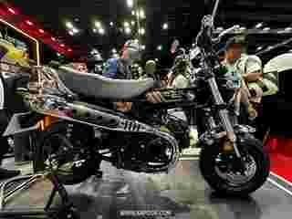 honda dax royal