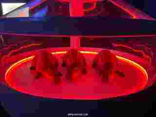 Jurassic World: The Experience