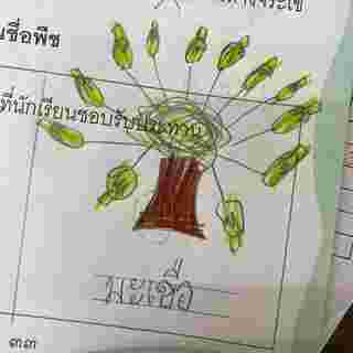 ภาพวาดผัก