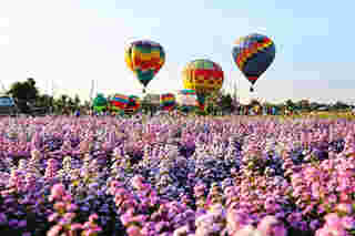 งาน Fun Fair Air Balloon Vol.1 งานบอลลูนผูกเชือกสัญจร สวนดอกไม้ป้านกเอี้ยง จังหวัดเชียงใหม่