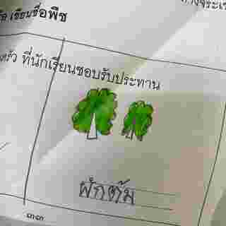 ภาพวาดผัก