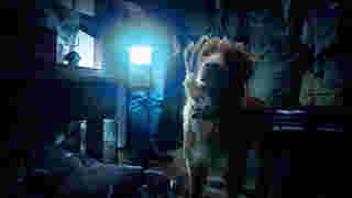 อินดี้ หมาเห็นผี ในหนัง Good Boy 2025