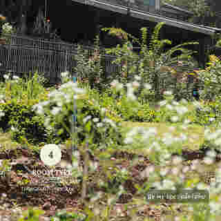 Mori Natural Farm  