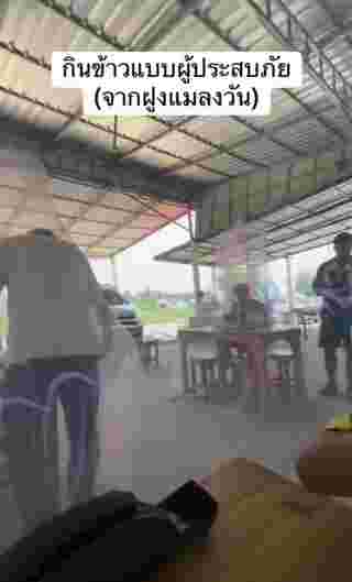 กางมุ้ง