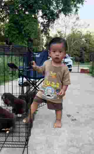 ลูกหมา