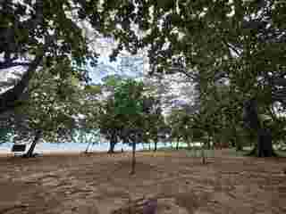 หาดในยาง ภูเก็ต 